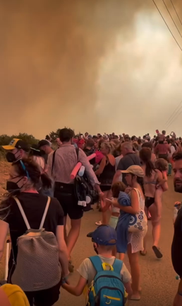 アロハスプリットの記事動画