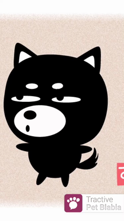 ”メッセンジャー”っすの記事動画