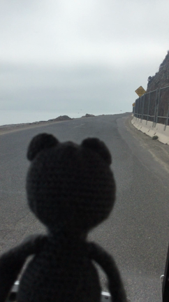 Catalina Island カタリナ島日帰り旅行の記事動画