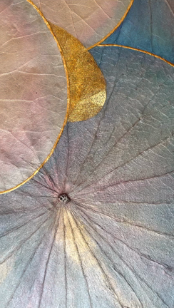 2022２１世紀アートボーダレス展の記事動画