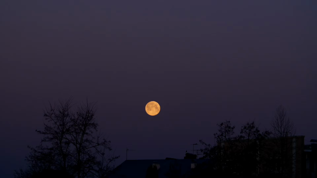 中秋　満月の記事動画