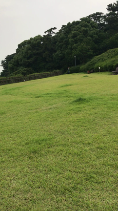 新緑が美しい季節になりましたの記事動画