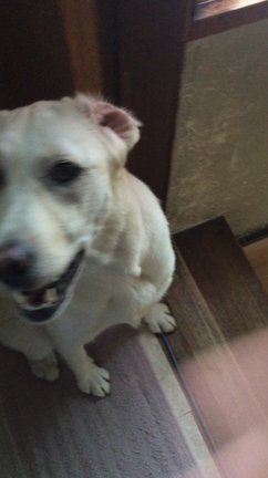 一緒に頑張ろう(>_<)の記事動画