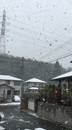 またも銀世界（；゜０゜）の記事動画