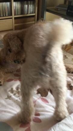 三連休♪の記事動画