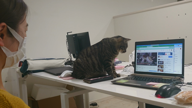 ”暗いちっち？明るいちっち？”の記事動画