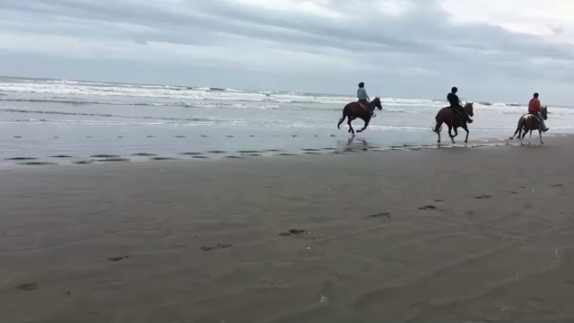 よっちゃんPの動画あり！(笑)今日は九十九里浜「サンシャインステーブルス」へ。の記事動画