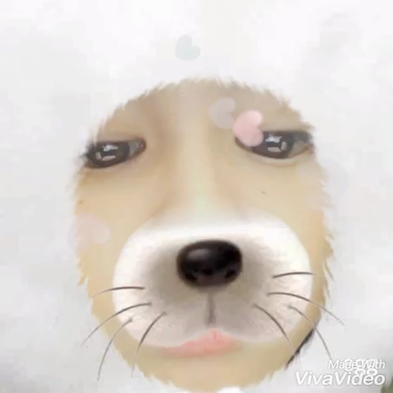 Luv~RIMA~の記事動画