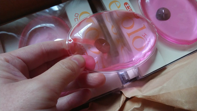 『エコカイロ?!』の記事動画