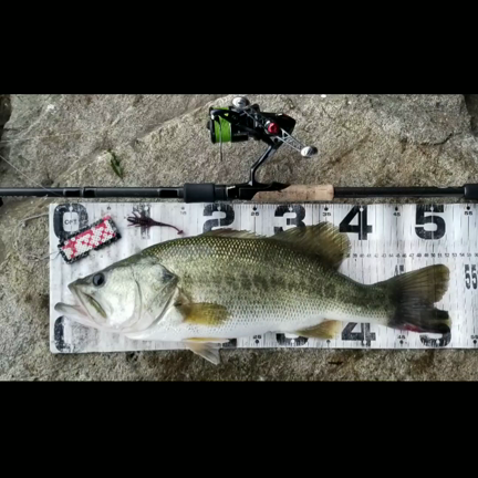 夏に向けて沖のウイードを狙ったらデカバスが釣れた！の記事動画