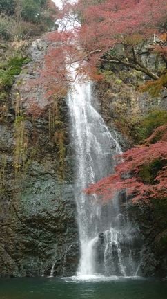 紅葉狩り。の記事動画