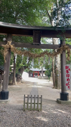 千穂子の龍神様に会いに行く神社参拝①の記事動画