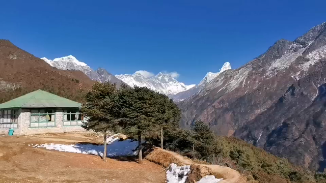 次男からの映像とともに、佳いお年をの記事動画