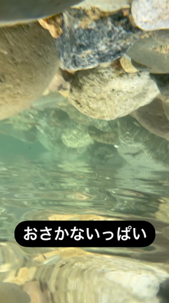 やっと川遊びの記事動画