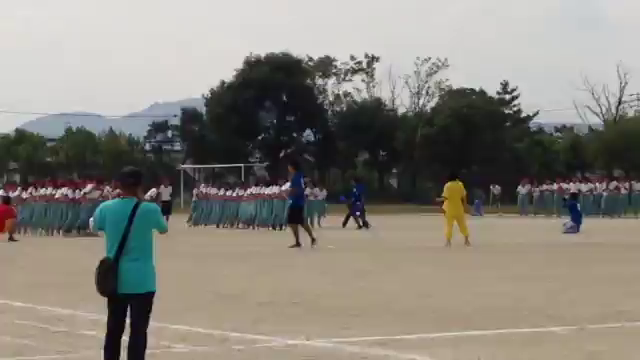 感動しましたの記事動画