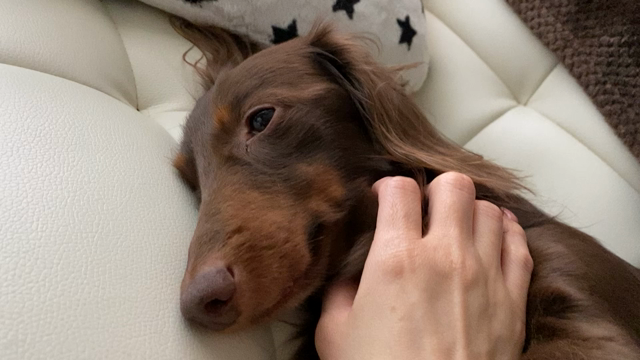 ゆったり、まったりと(^^)の記事動画