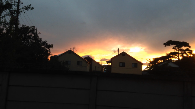 火山が爆発した夢をみたの記事動画