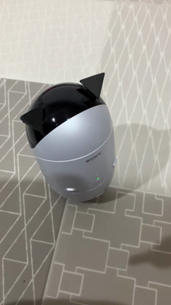 我が家のバレンタインの記事動画