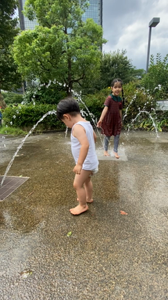 お散歩日和の休日の記事動画