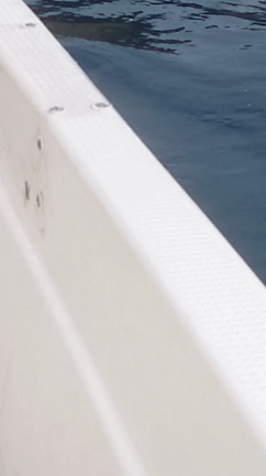 動画の記事動画