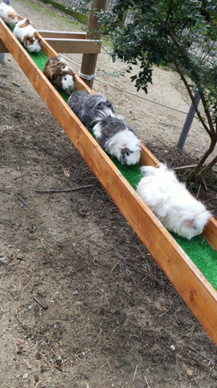 最近良く出没する場所の記事動画