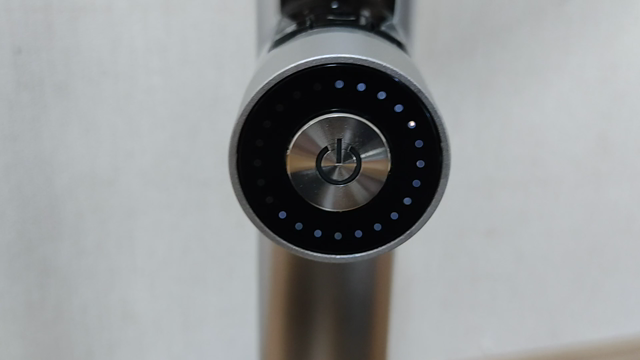 【日記】思いがけずカモメがやって来た！の記事動画