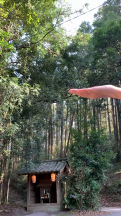 波動右肩上がりの休日の記事動画