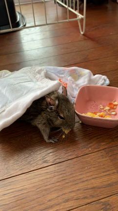 急変の記事動画