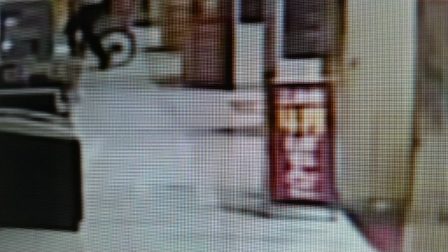 乗り心地の記事動画