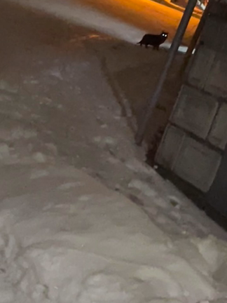 森野さくらさんのプロフィールページ