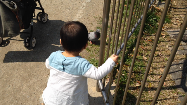 お花見＆お散歩デートの記事動画