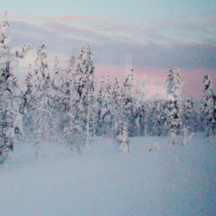 フィンランド旅行記、サーリセルカ①編の記事動画