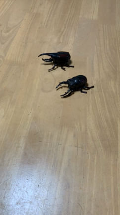 どーしても見ていただきたい‼️の記事動画