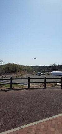 landingの記事動画