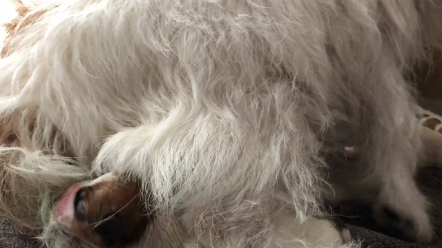 ワンダフルの記事動画