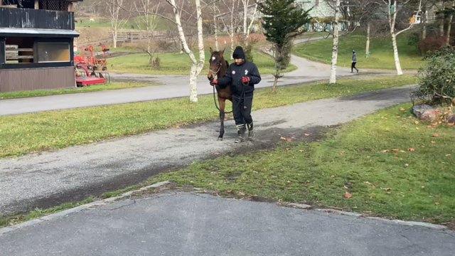 リアルダビスタ＃18～破綻～の記事動画