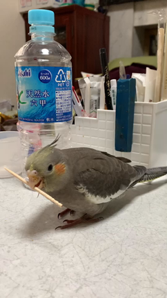 セントラル警備の記事動画