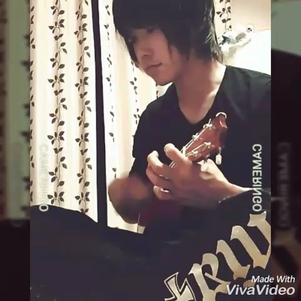 あれ？動画が？の記事動画