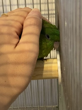 ふわふわもこもこ☁️の記事動画