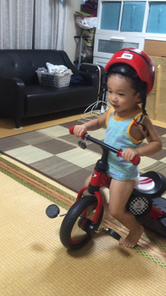 三輪車の記事動画