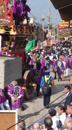 お祭りrunと30㎞走の記事動画