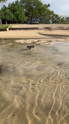 アリーコーヒーを飲みながら　ふと感じること〜！の記事動画