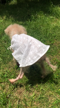 なな痙攣備忘録の記事動画