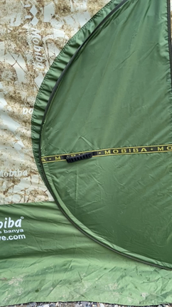 夏のことの記事動画