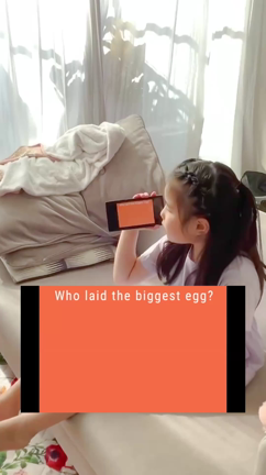 【９月の教材】あなたのお子さんはサメの卵を知っていますか？の記事動画