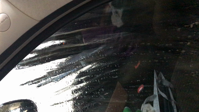 ベルギーではじめての洗車の記事動画