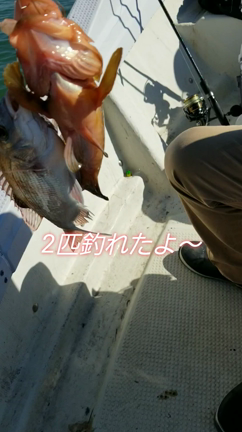 10月2日(日)　タイラバ　テンヤの記事動画