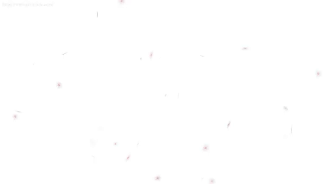Seeds of Springの記事動画