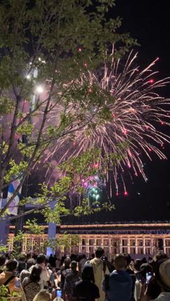 #1088 大阪・関西万博の記事動画