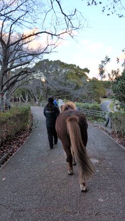 放牧dayでしたの記事動画